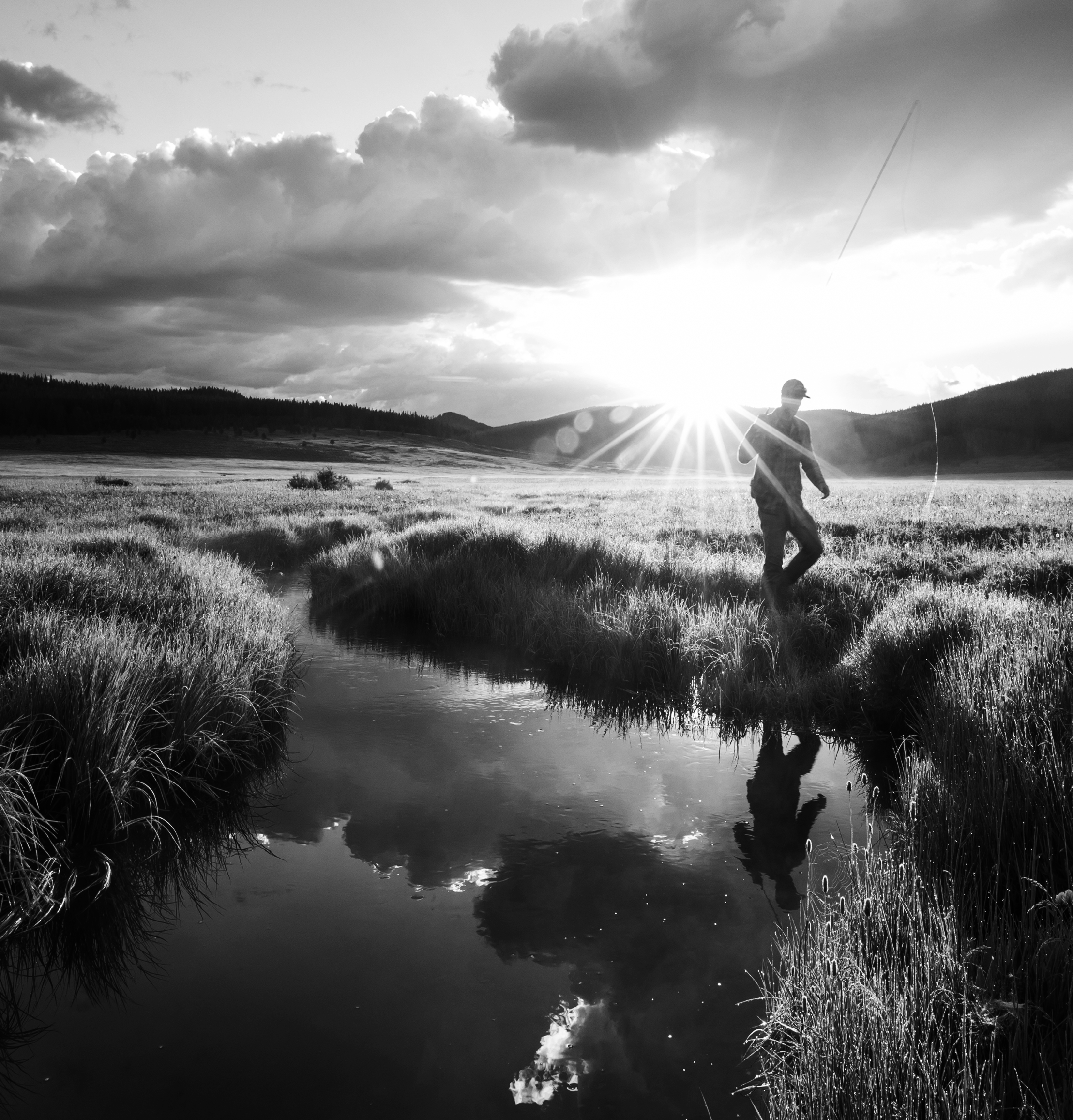 Environmental & Land Use